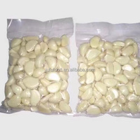 Gousses d'ail frais pelées de haute qualité en sachet sous vide et en sachet azoté – Approvisionnement en ail pelé provenant d'une usine professionnelle de production d'ail pelé