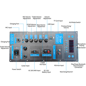 Amplificateur de basses <span class=keywords><strong>mono</strong></span> Hi-Fi T28 compatible OEM 12V/24V/220V, carte amplificateur de puissance élevée <span class=keywords><strong>pour</strong></span> la maison, le KTV et l'audio musical - Product Image 2