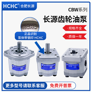 Pompe à huile électrique haute pression à économie d'énergie Hefei Changyuan CBW-F304, pompe à huile hydraulique en aluminium moulé, pompe à engrenages - Product Image 4