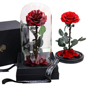 Longue tige conservée roses simples vrai durable <span class=keywords><strong>jardin</strong></span> fleurs roses dans le dôme de verre avec boîte-cadeau pour noël saint-valentin - Product Image 3