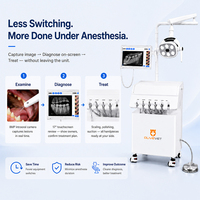 Clinique vétérinaire mobile Olivevet, machine de nettoyage dentaire, unité dentaire portable vétérinaire avec compresseur d'air