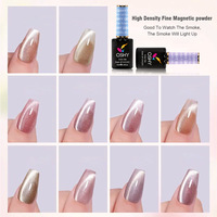 Nicole 288pc Set 15ml Magnétique Gel Vernis Noir Brun Cateye Style Base D'eau DIY Nail Tpo Gratuit Semi-Permanent Vernis Lot