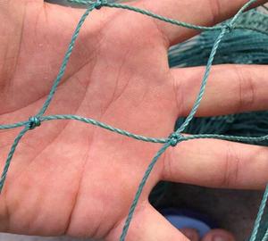 Lưới Kiểm Soát Chim Ổn Định Ánh Sáng UV Bằng <span class=keywords><strong>Polypropylene</strong></span> Không Co Giãn Lưới Nuôi Cá Chống Chim Thắt Nút - Product Image 5