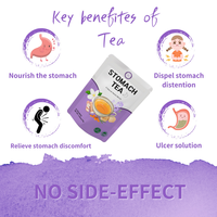 Tisane Confort Digestif aux Plantes en Gros MWTEA Sans Sucre 10 Sachets Pyramidaux Botaniques Infusion Froide Vrac Marque Privée OEM