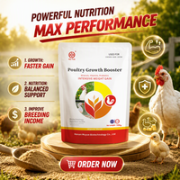 Stimulant de croissance pour poulets de chair, additif alimentaire pour volailles à engraissement rapide, prémélange vitaminique et acides aminés pour poules, améliore la qualité de la viande