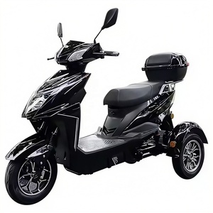 Nouveau tricycle scooter à 3 roues pour adultes, moto à cabine ouverte, 1500W - Product Image 3