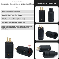 Adaptateur de prise secteur AC OEM ODM HIFI YIVO EU/US/AU IEC Femelle/Mâle en cuivre pur plaqué or 18 mm max.