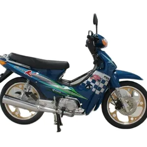 图瓦卢热销廉价摩托车110cc ZS发动机幼崽自行车125cc LIFAN超级幼崽摩托车中国