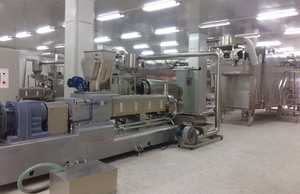 Ligne de machine de production de céréales pour petit déjeuner instantané - Product Image 6