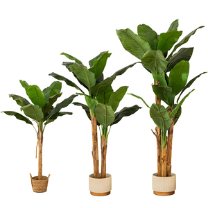 Offre Spéciale : Grand Arbre <span class=keywords><strong>Bananier</strong></span> Artificiel de 180 cm pour la Décoration Intérieure et Extérieure des Centres Commerciaux - Product Image 6