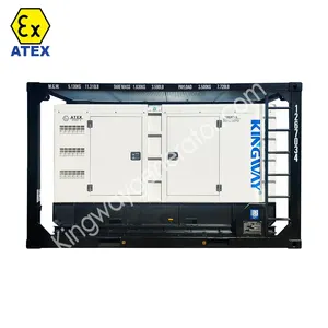 Offshore Platform ATEX Certification 100kw 125kva Zone1 Explosion Proof Diesel Gas Generator Set DNVGL 2.7-1