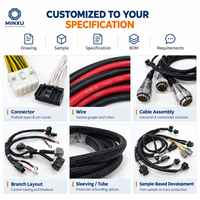 Faisceau de câblage électrique automobile UL 18-24AWG, assemblage de câbles avec connecteurs mâles et femelles 2-12 broches, OEM pour systèmes automobiles