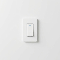 Interrupteur mural intelligent WIFI Hantu Electric US Standard DS-122 10A 240V en ABS, compatible avec l'application Smart Life et la commande vocale Alexa/Google Home