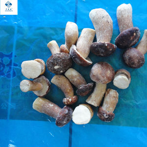 IQF Frozen <span class=keywords><strong>Boletus</strong></span> <span class=keywords><strong>Edulis</strong></span> - Product Image 2