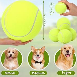 <span class=keywords><strong>Lanceur</strong></span> <span class=keywords><strong>de</strong></span> balle <span class=keywords><strong>de</strong></span> tennis <span class=keywords><strong>automatique</strong></span> pour chien <span class=keywords><strong>de</strong></span> luxe jouets électriques pour chien <span class=keywords><strong>lanceur</strong></span> <span class=keywords><strong>de</strong></span> balle <span class=keywords><strong>de</strong></span> chiot intelligent pour chiens <span class=keywords><strong>de</strong></span> petite à moyenne taille - Product Image 2