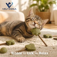 Bâtonnets de friandises à la catnip, 6 formes assorties, jouets à mâcher aux herbes, herbe verte compressée, bâtonnets en bois naturel