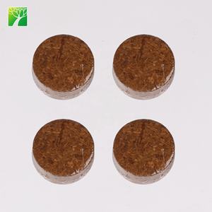 Offre Spéciale herbe bricolage naturel bonsaï herbe jardin kit de démarrage pour la décoration - Product Image 3