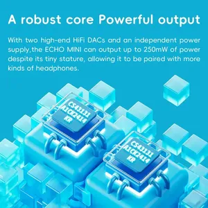 FiiO snowsky Echo <span class=keywords><strong>mini</strong></span> USB FM Tính năng WAV lossless <span class=keywords><strong>Mini</strong></span> HiFi không dây <span class=keywords><strong>MP3</strong></span> Walkman 15 giờ phát lại máy nghe nhạc thuần túy - Product Image 5