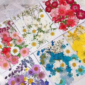 Pétalos de hoja de tallo de <span class=keywords><strong>flores</strong></span> <span class=keywords><strong>silvestres</strong></span> <span class=keywords><strong>preservadas</strong></span>, <span class=keywords><strong>flores</strong></span> prensadas Diy, flor prensada de resina, flor seca plana prensada para manualidades Diy - Product Image 2