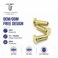 Rivets semi-tubulaires à tête plate en acier au carbone sur mesure pour les protections de machines d'emballage, prototypes d'ingénierie, échantillonnage rapide, TianFang