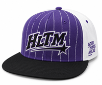 Casquette de baseball unisexe personnalisée en coton brodé en 3D, 6 panneaux, structure plate, réglable, motif léopard sportif