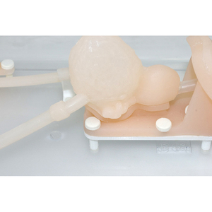 Modelo de Simulación para Entrenamiento en Ureteroscopia - Herramienta de Práctica de Endoscopia del Tracto Urinario para Educación Médica - Product Image 4