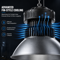 Projecteur LED Industriel à Réflecteur en Aluminium Traditionnel 50W-240W SMD 3030 à Refroidissement par Ailettes pour Entrepôt, Usine et Atelier