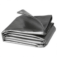Bâche tissée imperméable en tissu HDPE laminé avec œillets 280 GSM argentée pour la protection du bois et du charbon