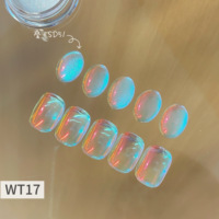 Ongles Aurora personnalisables bricolage presse sur ongles miroir poudre manucure paillettes frottage poussière