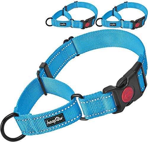 Blue, Martingale Collar+Martingale Collar