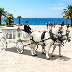 Factory Direct Supply Vehicle China Popular Horse <b>Trailer</b> Horse Drawn Hearse Classic Funeral Car Coffin - Product Image 1