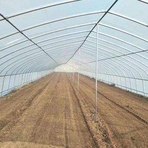 Kit de serre agricole à simple travée avec film plastique PE et structure en acier galvanisé à chaud pour usage domestique, jardin et cour arrière - Product Image 5