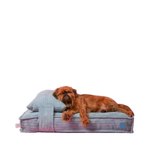 Langlebiger weicher Cord Extra große Hunde möbel Bett Memory Foam Großes Hunde bett mit wasch barer Abdeckung Ortho pä disches Bett für Hund