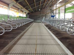 ที่นอนโฟมสำหรับสัตว์ หนา 70 มม. สำหรับวัว ควาย สุนัข ม้า ควายบุรุษ วัว ที่นอนสัตว์เลี้ยง ขนาดปรับแต่งได้ - Product Image 3