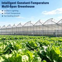Serre Intelligente Multi-Span Agricole Commerciale à Grande Structure en Acier à Dents de Scie Facile à Installer