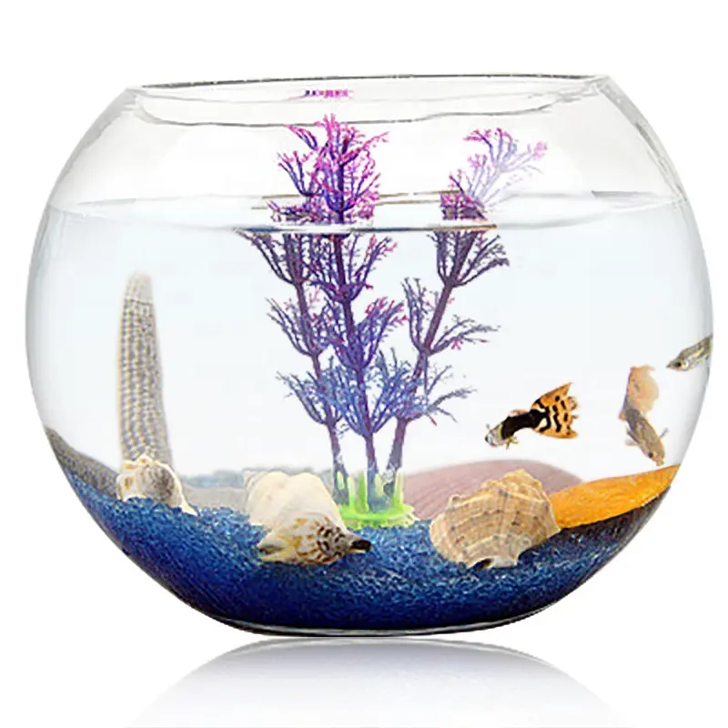Vase à fleur en verre rond de bol de poisson de verre de mode pour la décoration à la maison