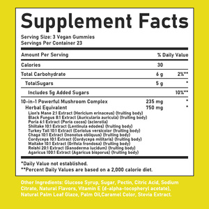 High Quality 10-1N-1 Blend Mushroom Gummles Natural & Powerful Focus & Immune Support Antioxidant Support - Product Image 6