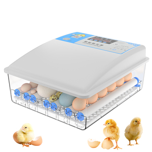 36 adet tavuk yumurta kapasitesi çift güç kaynağı yumurta çıkım otomatik sıcaklık ve nem kontrolü - Product Image 5