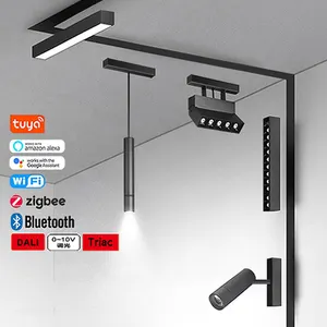 Tuya ZigBee ब्लूटूथ ट्रैक लैंप समायोज्य चुंबकीय ट्रैक प्रकाश 48V स्मार्ट चुंबक ट्रैक प्रकाश रेल प्रकाश