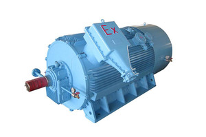 มอเตอร์ไฟฟ้าแรงสูง - Product Image 6