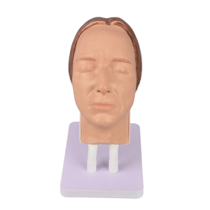 Maniquí de Práctica para Inyección de Toxina Botulínica SCMEHE, Antiarrugas, para Salón de Belleza, Industria Médica y Estética - Product Image 6