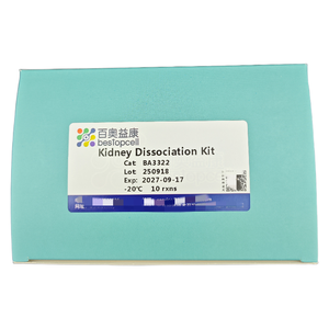 Набор для диссоциации почек (10 тестов) Диссоциация тканей для исследования ISO 9001 BA3322 - Product Image 2