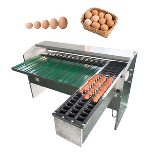 Unidad de procesamiento de aves de corral de alta capacidad Sistema digital de medición y clasificación de peso de huevos Máquina industrial para pesar huevos - Product Image 1