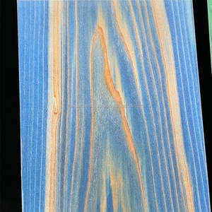 Panel Acrílico IRODORITAI GLASS con Chapa de Madera Teñida Translúcida, Decoración Interior Moderna Retroiluminada, Colores Personalizados, Ligero y Fácil de Instalar - Product Image 1