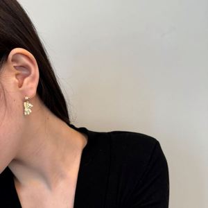 Aretes Pequeños de Plata de Ley 925 con Circonita Cúbica 5A en Forma de Oso Hexagonal, Joyería Linda y Encantadora de Dylam para Mujer, Señorita y Niña - Product Image 5