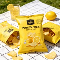 Bolsas de Plástico para Envasado de Alimentos con Sellado Térmico Personalizadas, Bolsas con Forma de Almohada para Papas Fritas