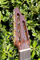 Aiersi Glossy Classical 7 String Guitar All Solid Cedar Spanish Crafted Skill String Instrument for Professional