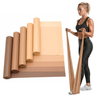 Ensemble de bandes de résistance en latex à code couleur multi-niveaux, robustes, écologiques et multifonctionnelles, pour la thérapie, la gym et le corps entier