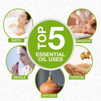 Huile Essentielle de Patchouli 100% Pure et Naturelle, Matière Première Cosmétique OEM, Arôme Naturel pour la Fabrication de Parfums et Diffuseurs