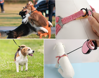 Correa Retráctil Automática de Nylon para Perros, Correa de Plástico para Mascotas, Cuerda de Tracción, con Logotipo Personalizado, Venta al Por Mayor